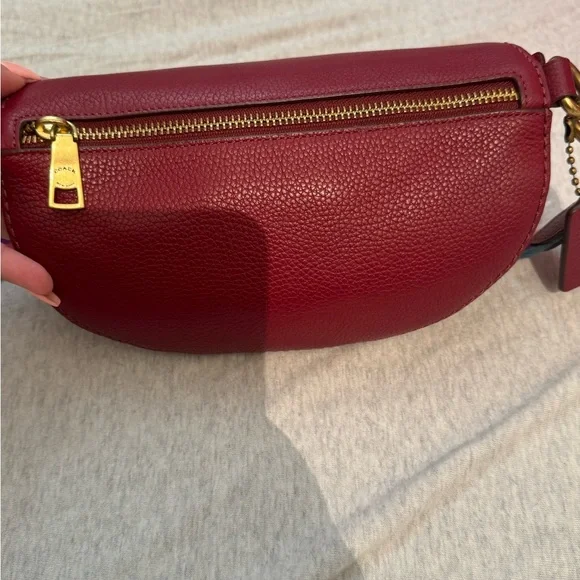 Coach REXY 🦖 rainbow carriage and Tan sling bag with rainbow 🌈 Strap - Picture 10 of 12